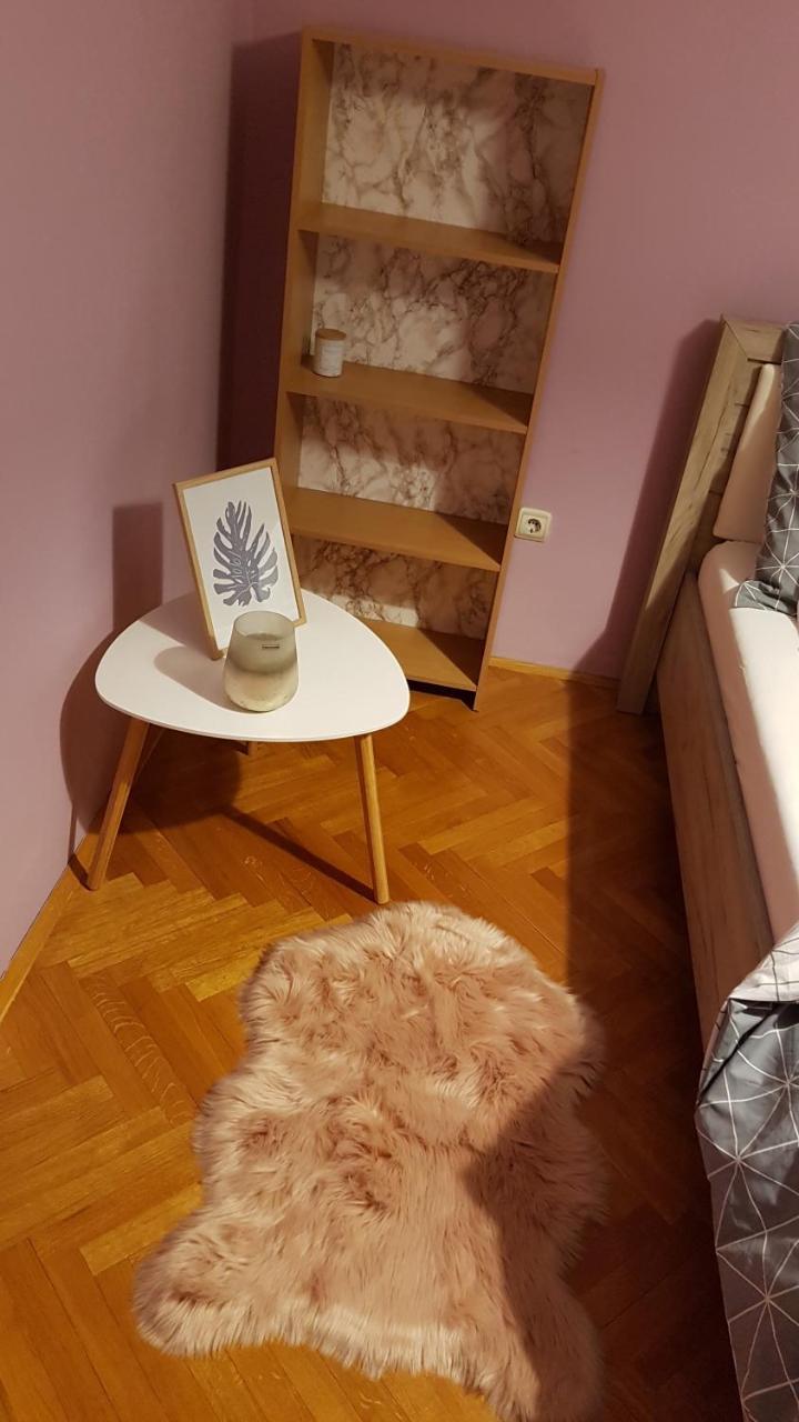 Apartment Krsta Novi Sad Esterno foto
