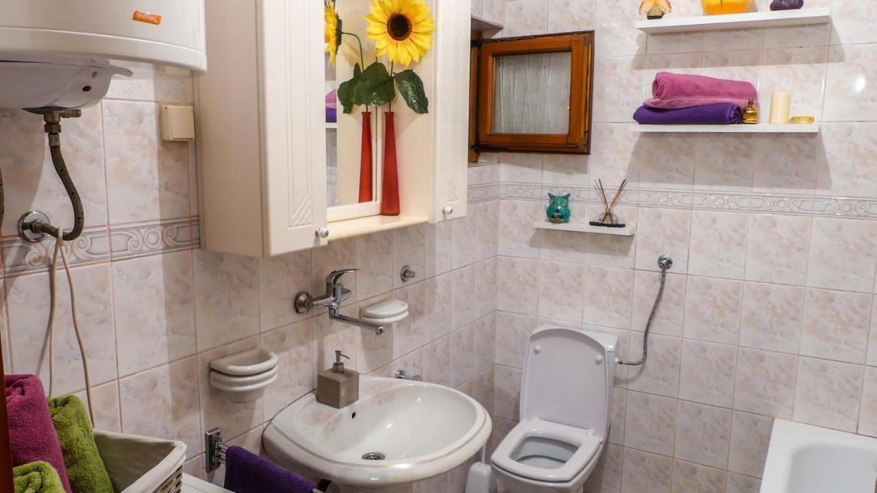 Apartment Krsta Novi Sad Esterno foto